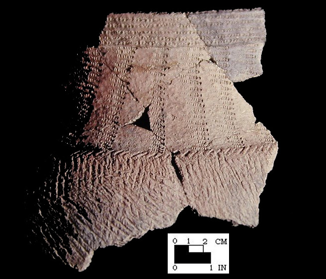 Shepard typical cord-wrapped dowel impressed mended rim and body sherds from the Winslow site 18MO9 - SI Cat. #449644 - Courtesy of the Smithsonian Institution, Museum of Natural History, Department of Anthropology.